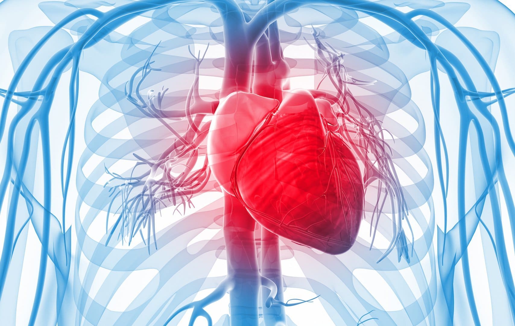 Basic Life Support (BLS) Course BMC